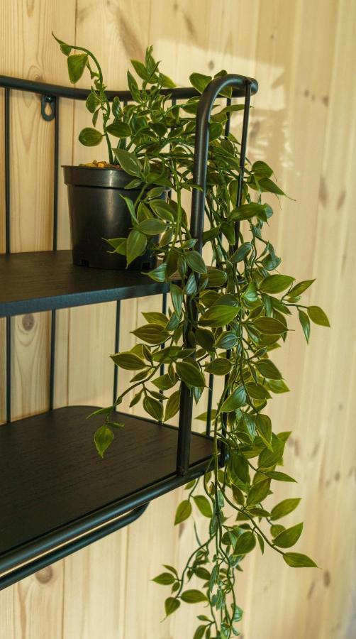 Lilleeideholmen Sjohusutleie Apartment Haug Екстериор снимка